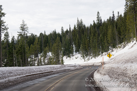 Timberline Rd Snow