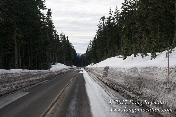 Timberline Rd Snow
