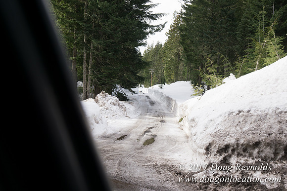 Timberline Rd Snow