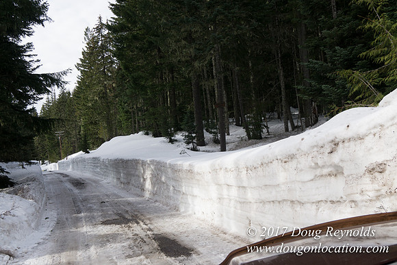 Timberline Rd Snow