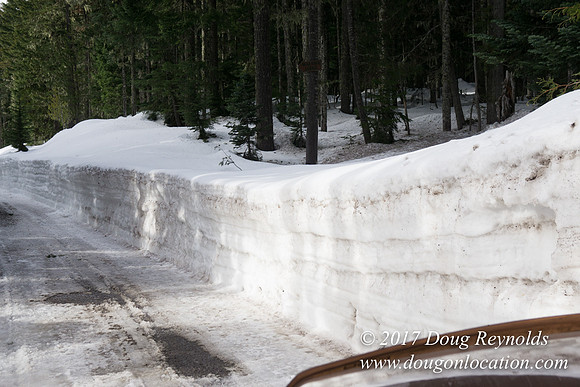 Timberline Rd Snow