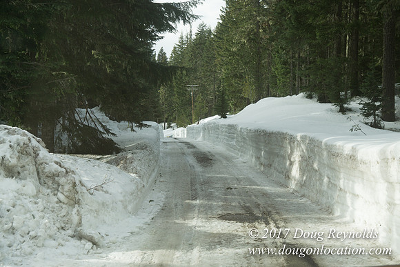 Timberline Rd Snow