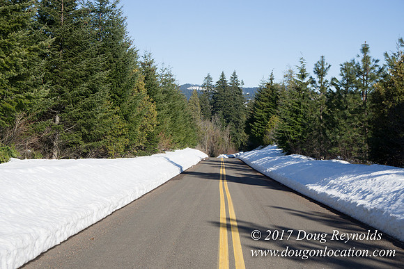 Lost lake Rd with Snow