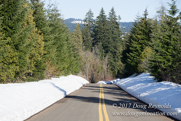 Lost lake Rd with Snow