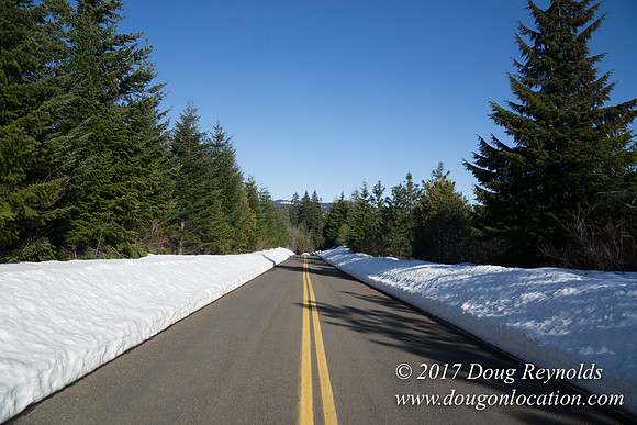 Lost lake Rd with Snow