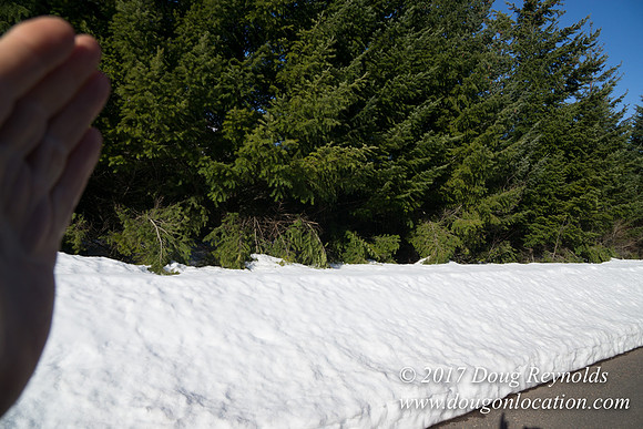 Lost lake Rd with Snow