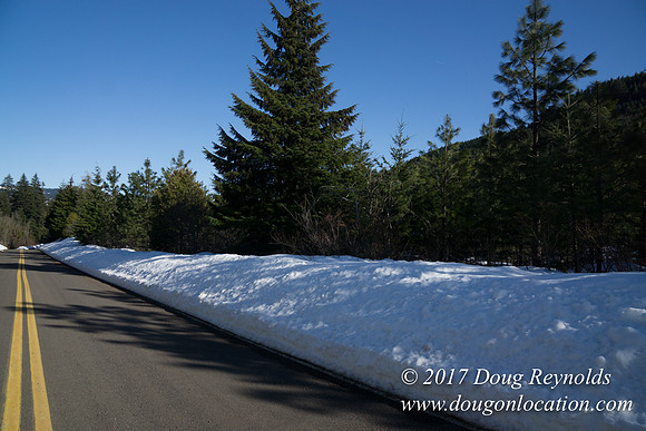 Lost lake Rd with Snow