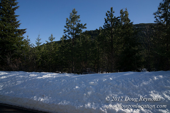 Lost lake Rd with Snow