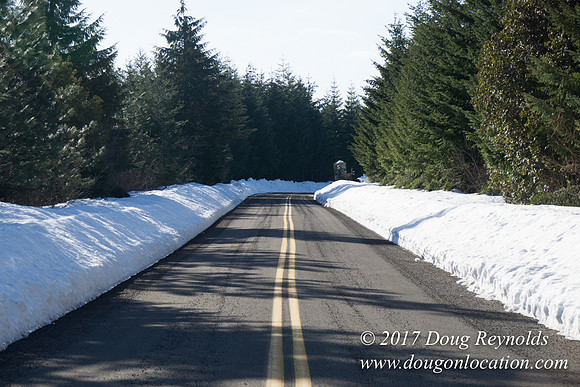 Lost lake Rd with Snow