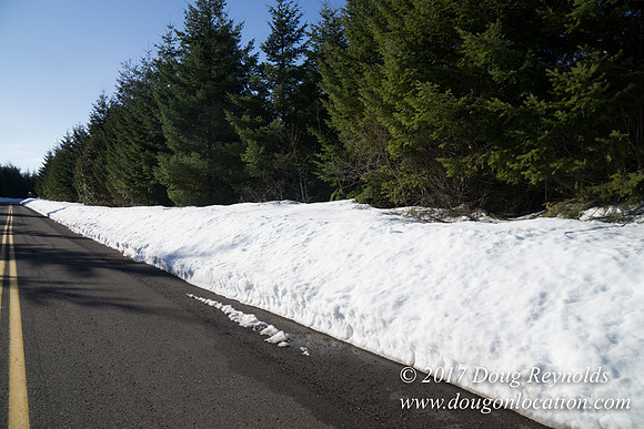 Lost lake Rd with Snow