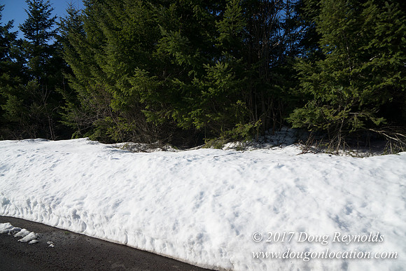 Lost lake Rd with Snow