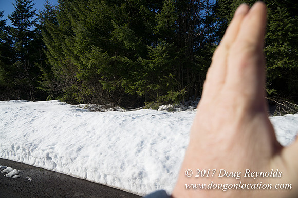 Lost lake Rd with Snow
