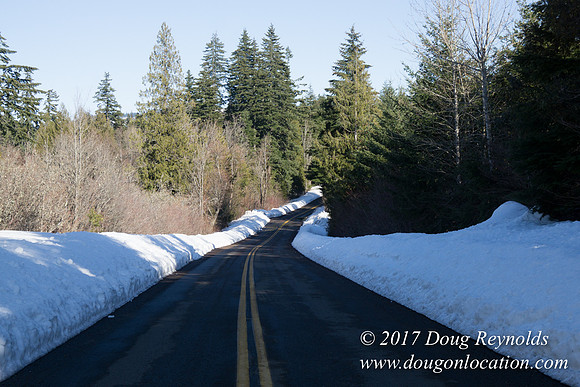Lost lake Rd with Snow