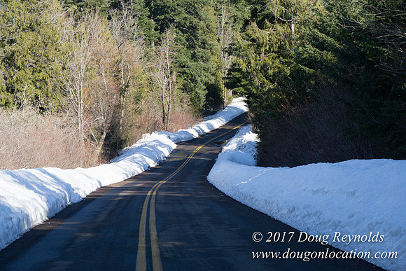 Lost lake Rd with Snow