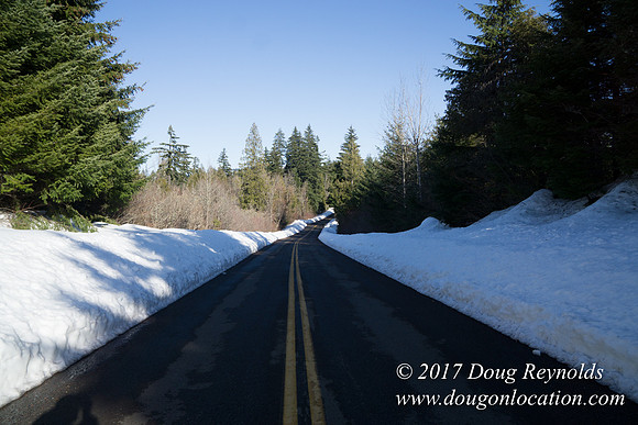 Lost lake Rd with Snow