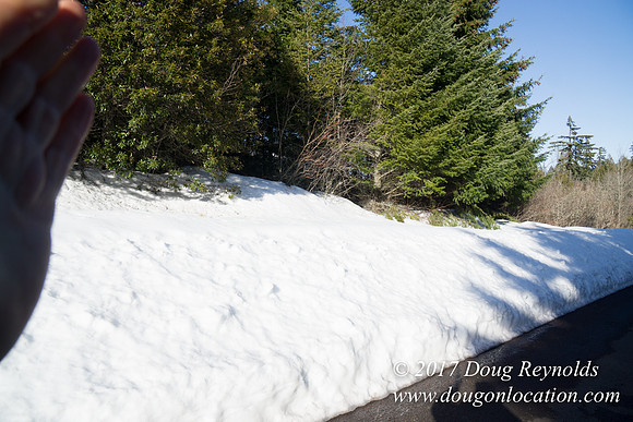 Lost lake Rd with Snow