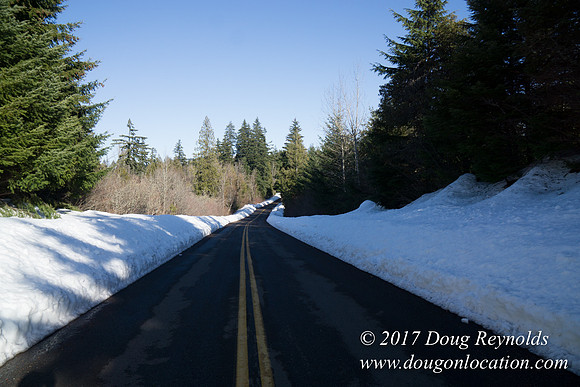 Lost lake Rd with Snow