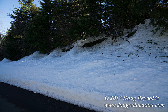 Lost lake Rd with Snow