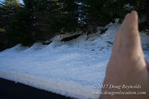 Lost lake Rd with Snow