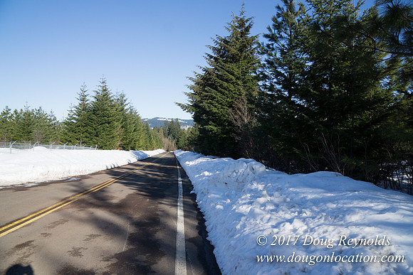 Lost lake Rd with Snow
