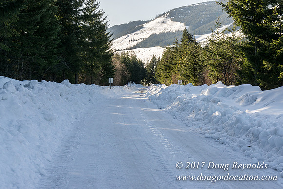 Lost lake Rd with Snow
