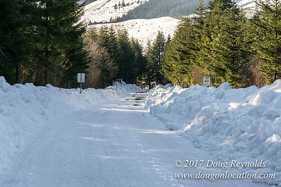 Lost lake Rd with Snow