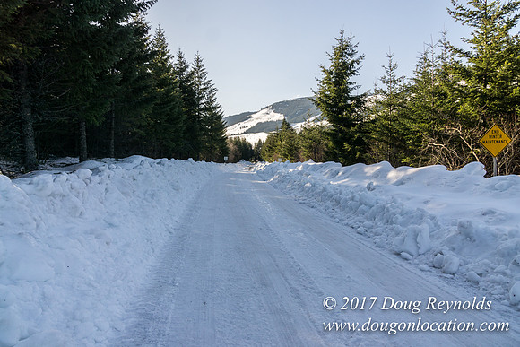 Lost lake Rd with Snow