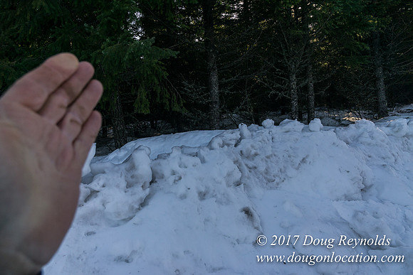 Lost lake Rd with Snow