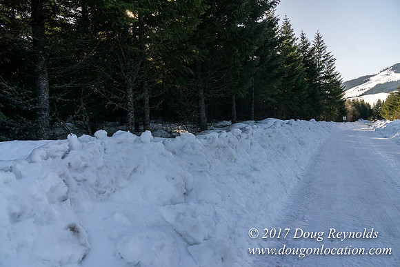 Lost lake Rd with Snow