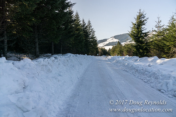 Lost lake Rd with Snow