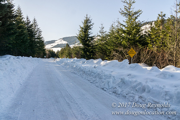 Lost lake Rd with Snow