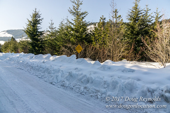 Lost lake Rd with Snow