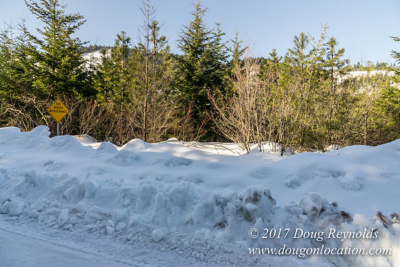 Lost lake Rd with Snow