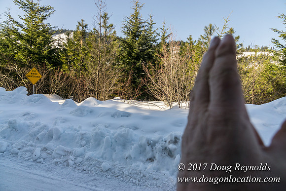 Lost lake Rd with Snow