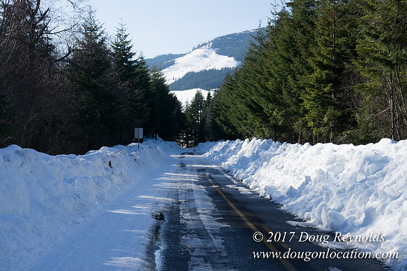 Lost lake Rd with Snow