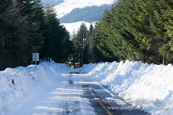 Lost lake Rd with Snow