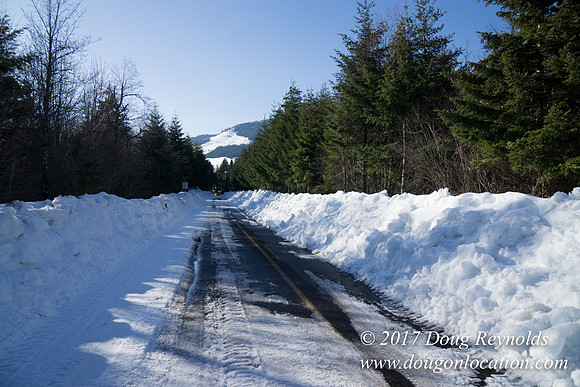 Lost lake Rd with Snow
