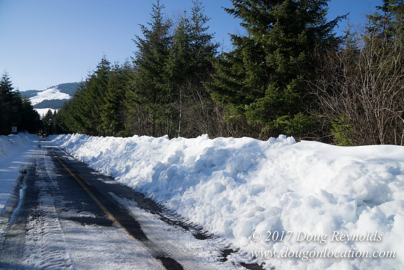 Lost lake Rd with Snow