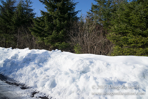 Lost lake Rd with Snow