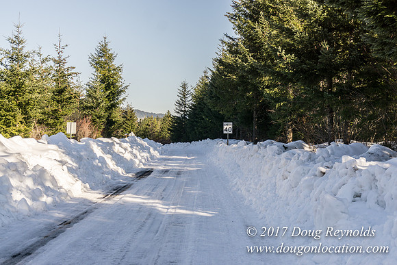 Lost lake Rd with Snow