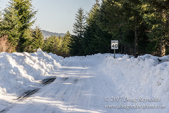 Lost lake Rd with Snow