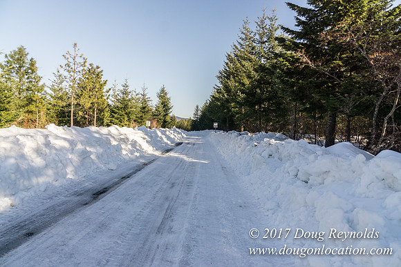 Lost lake Rd with Snow