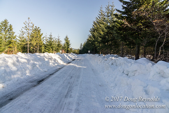 Lost lake Rd with Snow