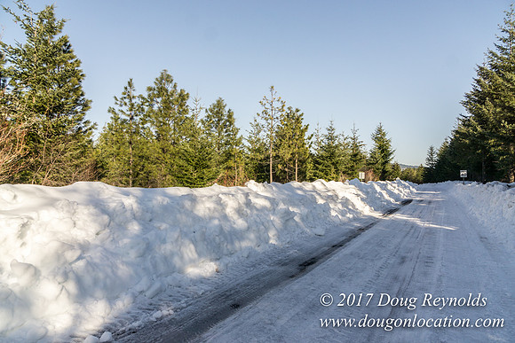 Lost lake Rd with Snow