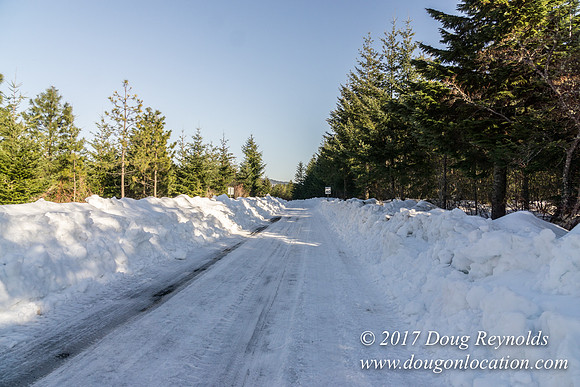 Lost lake Rd with Snow