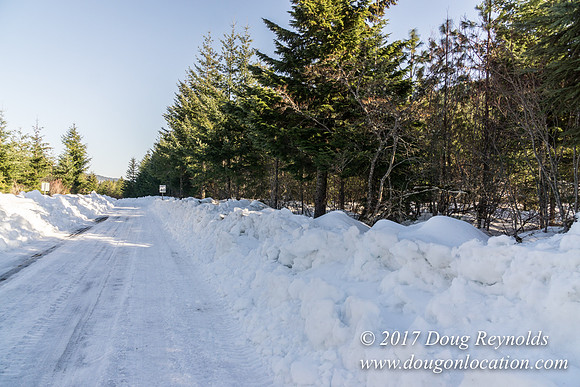 Lost lake Rd with Snow
