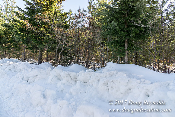 Lost lake Rd with Snow