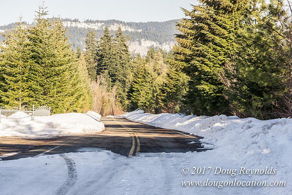 Lost lake Rd with Snow