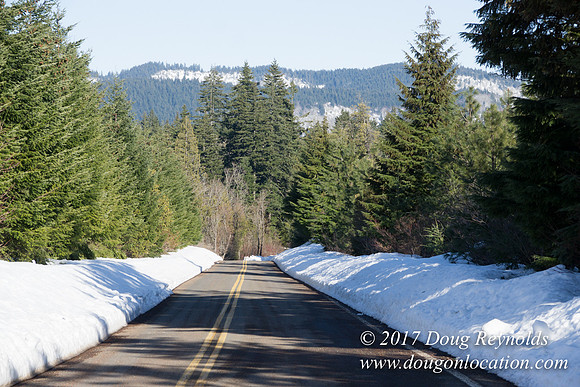 Lost lake Rd with Snow