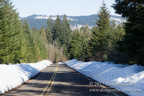 Lost lake Rd with Snow